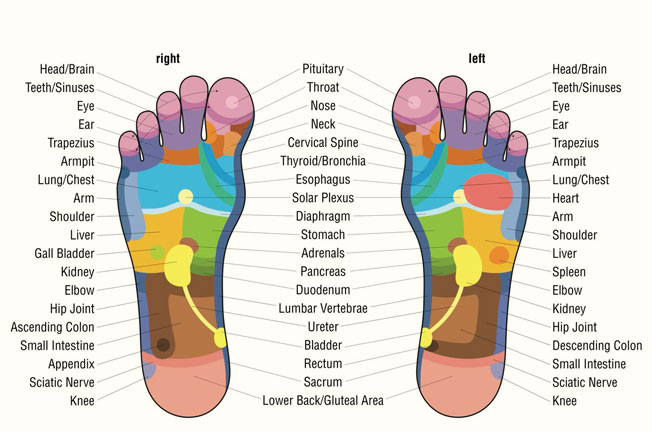 reflexology-chart-bg